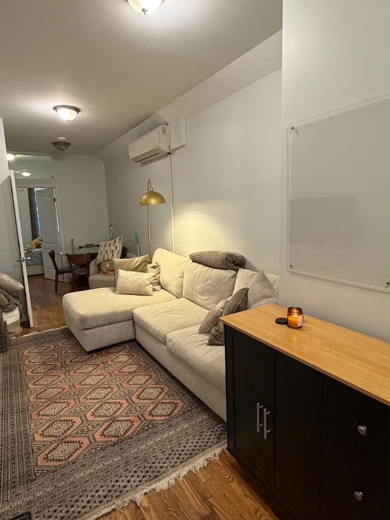 Brooklyn living room with cozy sofa and rug